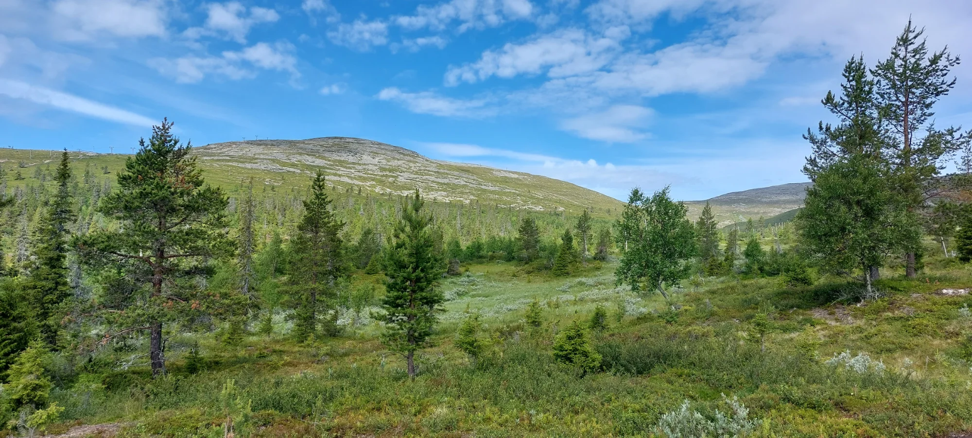 Kyrön Loma