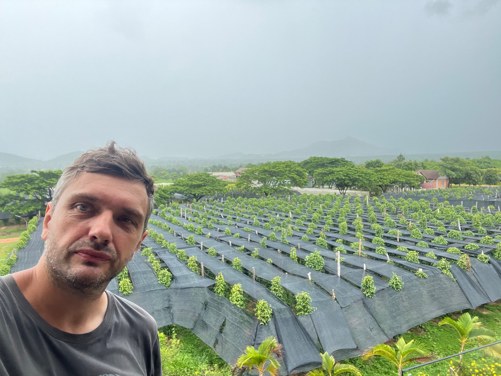 La Plantation