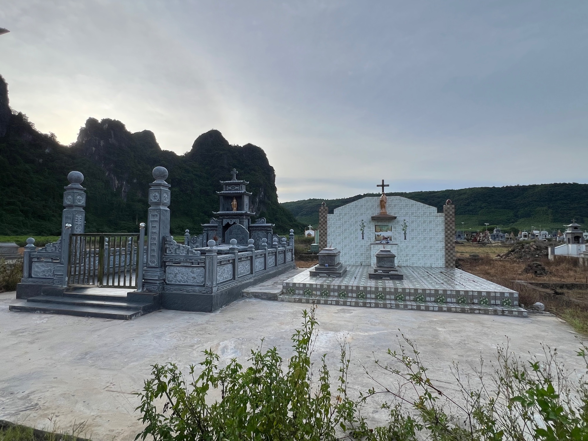 Phong Nha