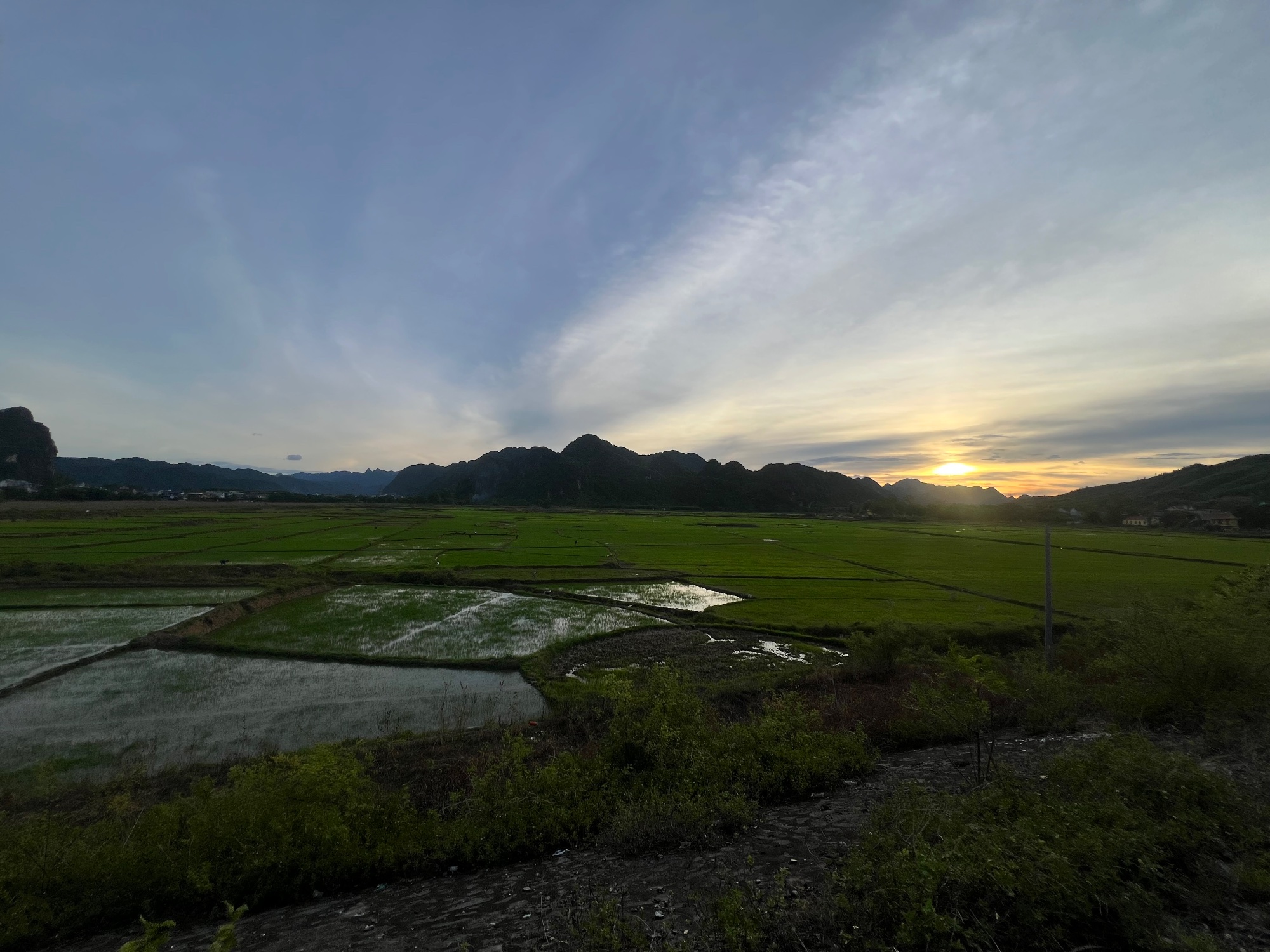 Phong Nha