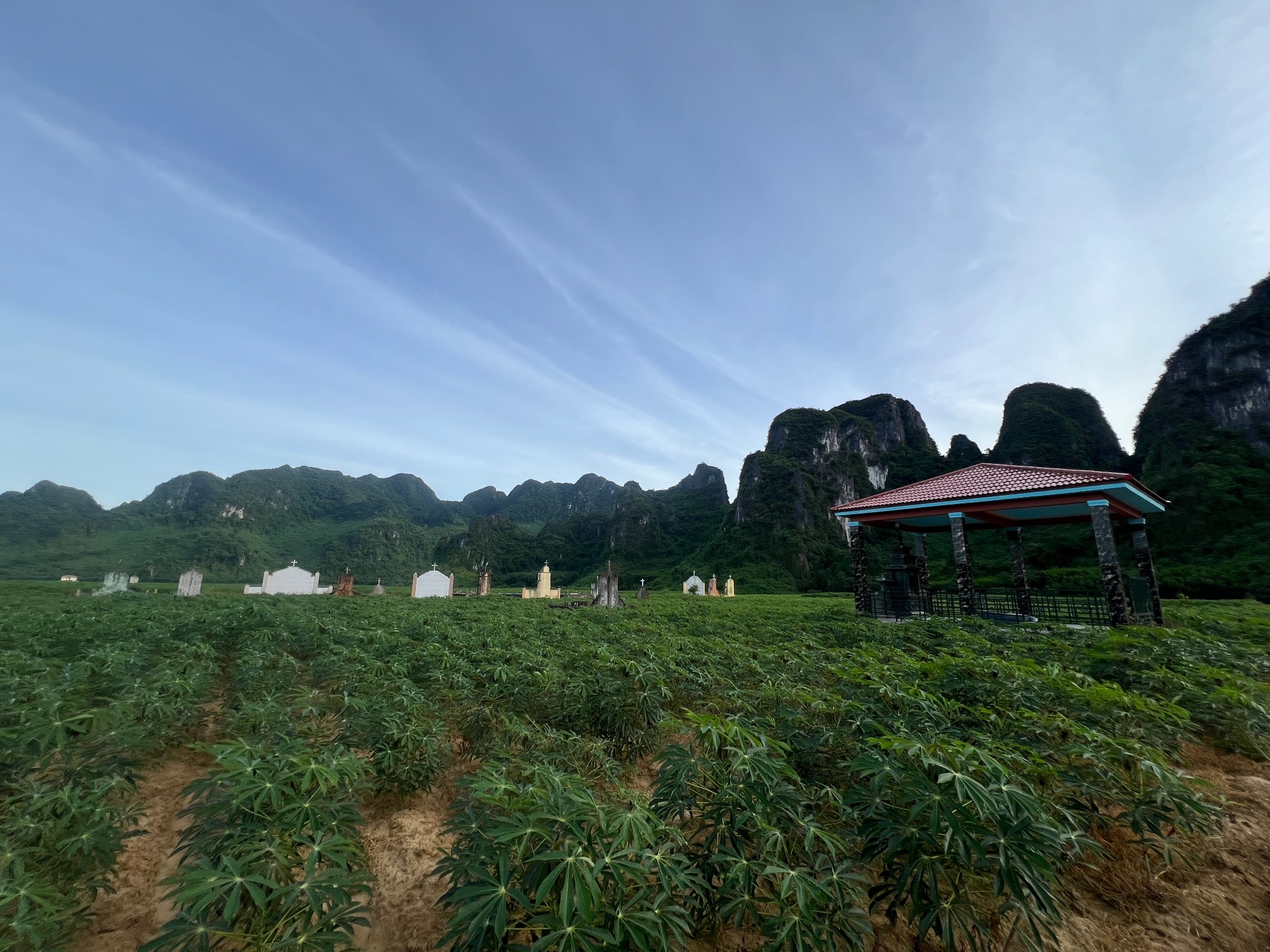 Phong Nha