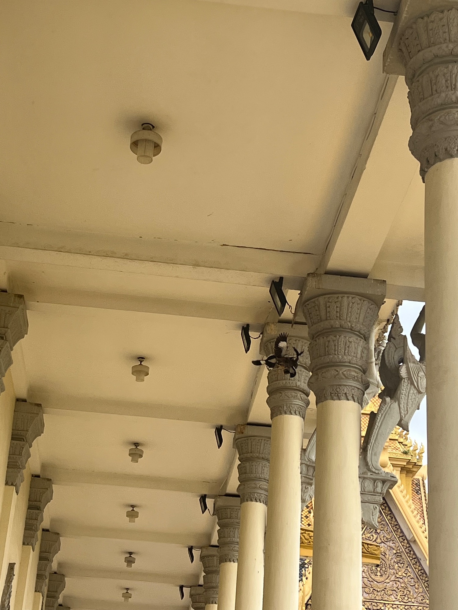 Royal Palace