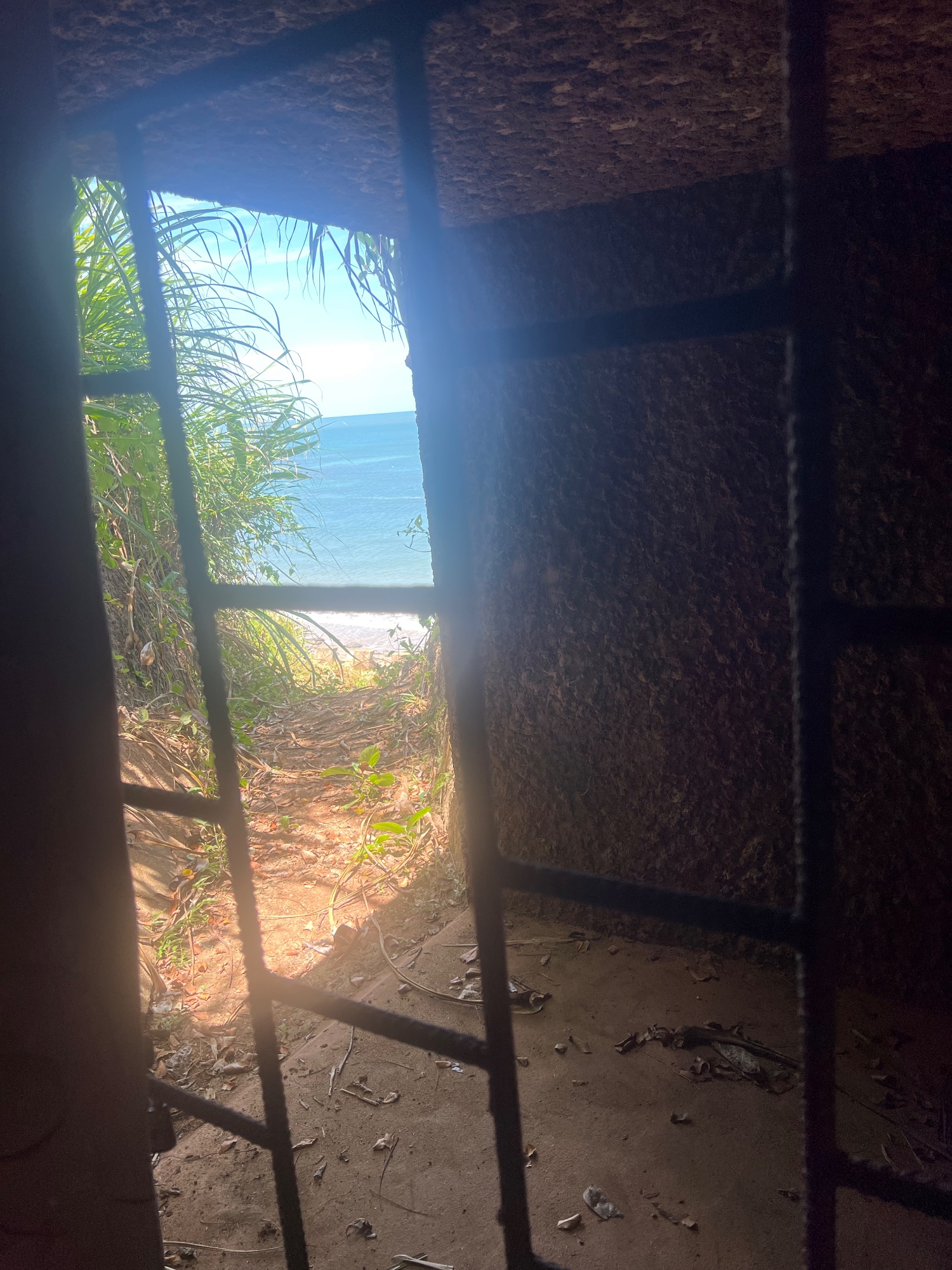 the tunnels have several exits to the beach