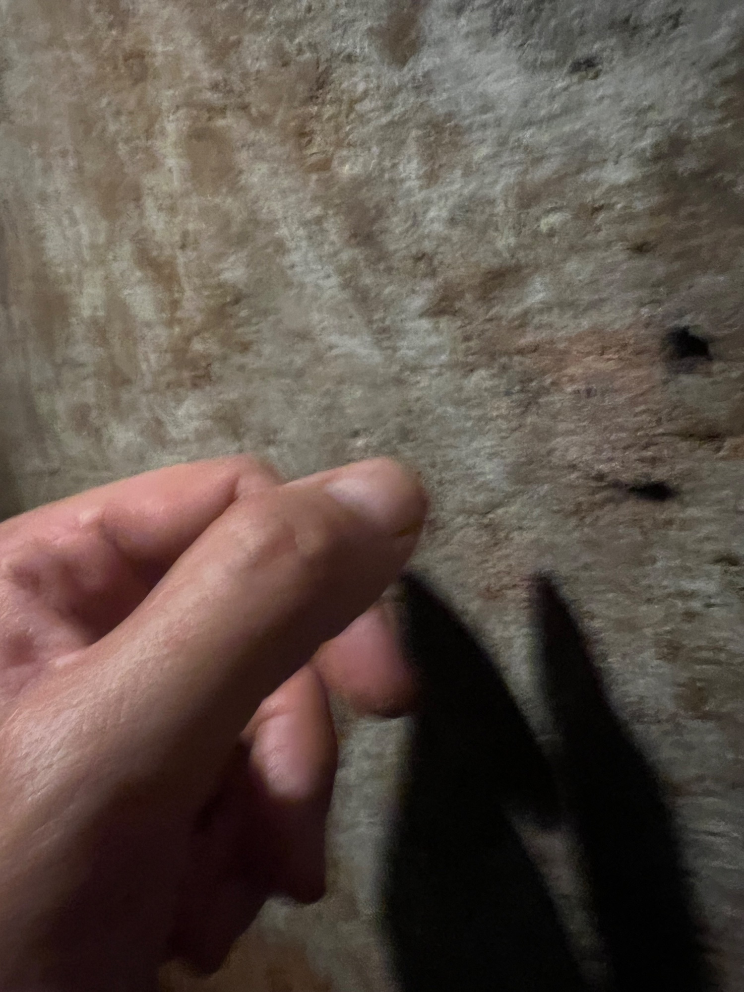 The limestone was supersoft. you could scratch them with your fingernails.
