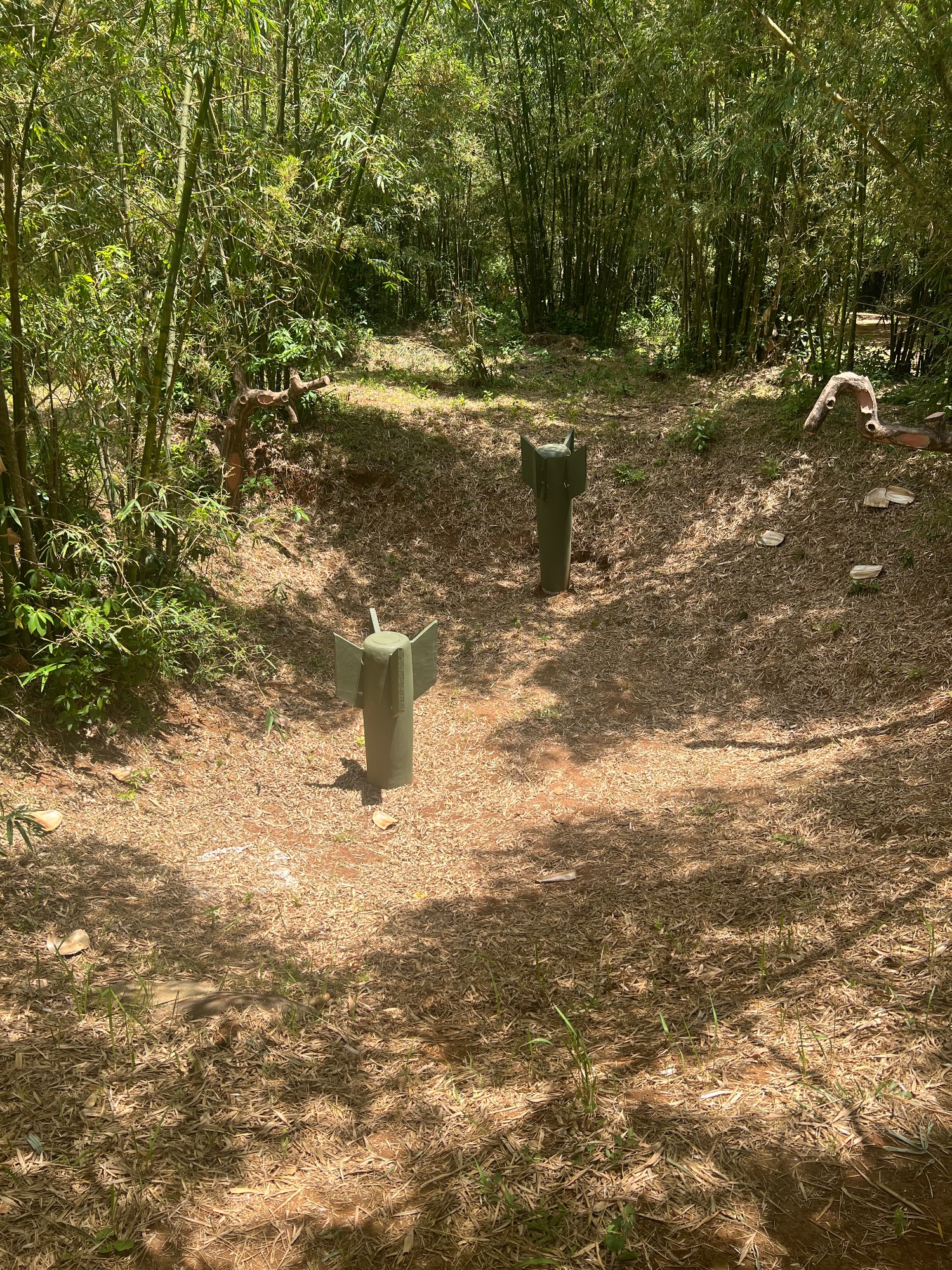 Vịnh Mốc tunnels