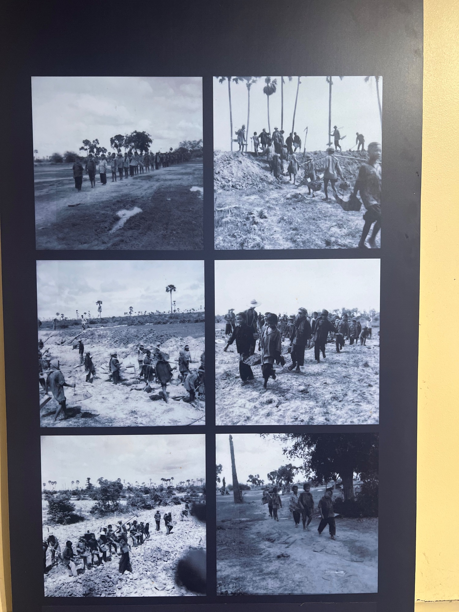 "Evacuated" to countryside to build a new "anticapitalist" society by growing rice.