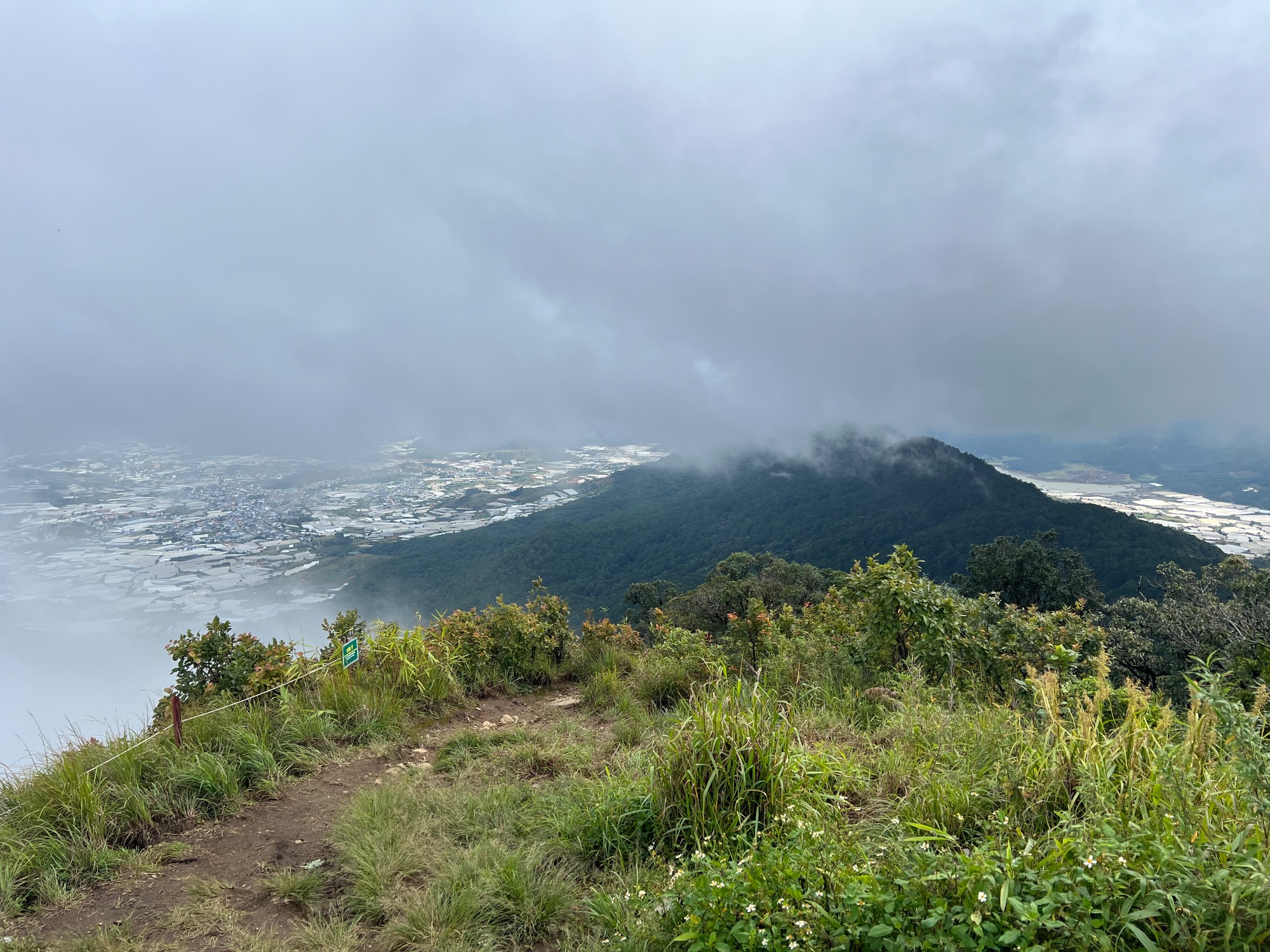 Dalat