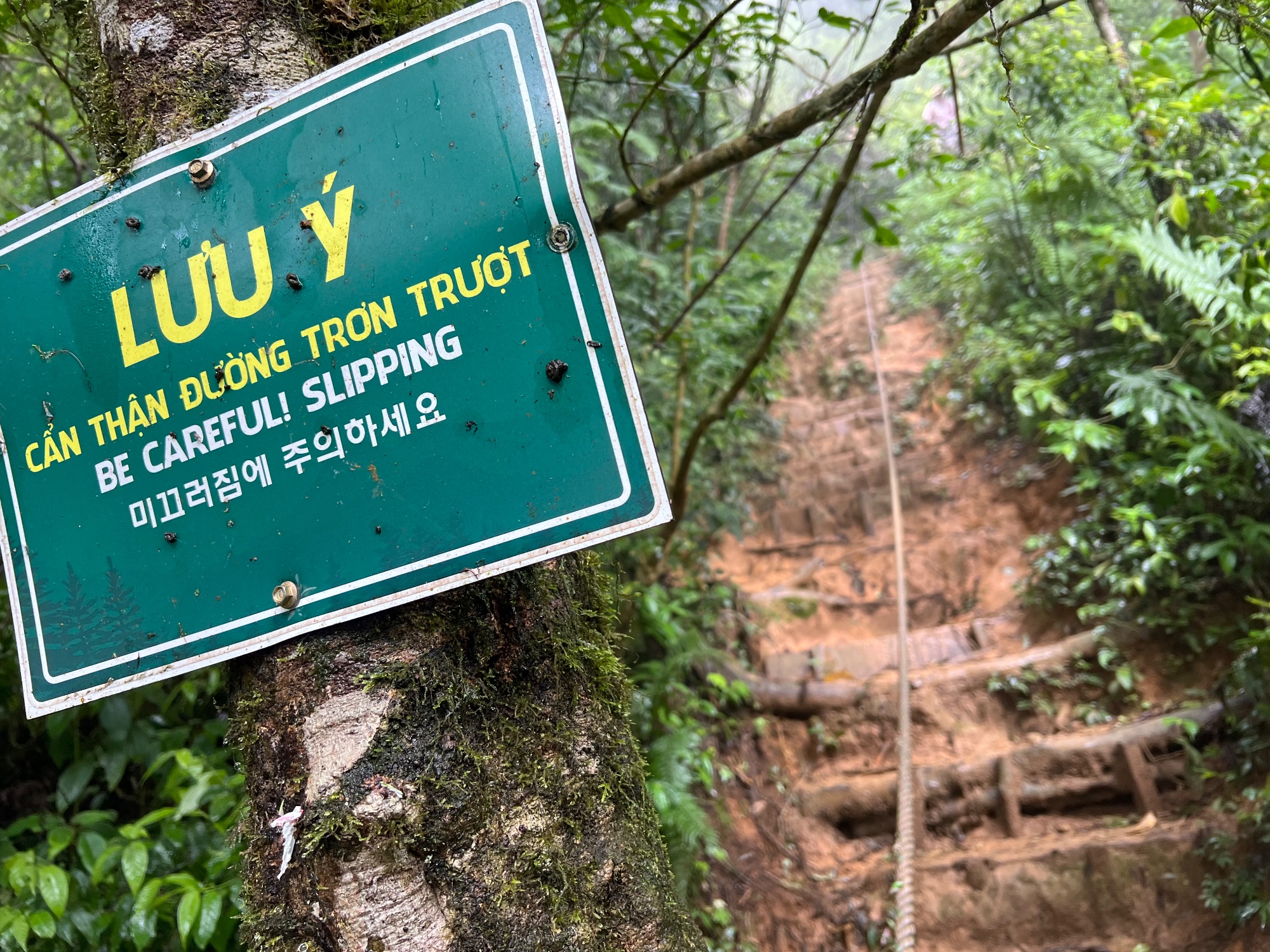 Dalat