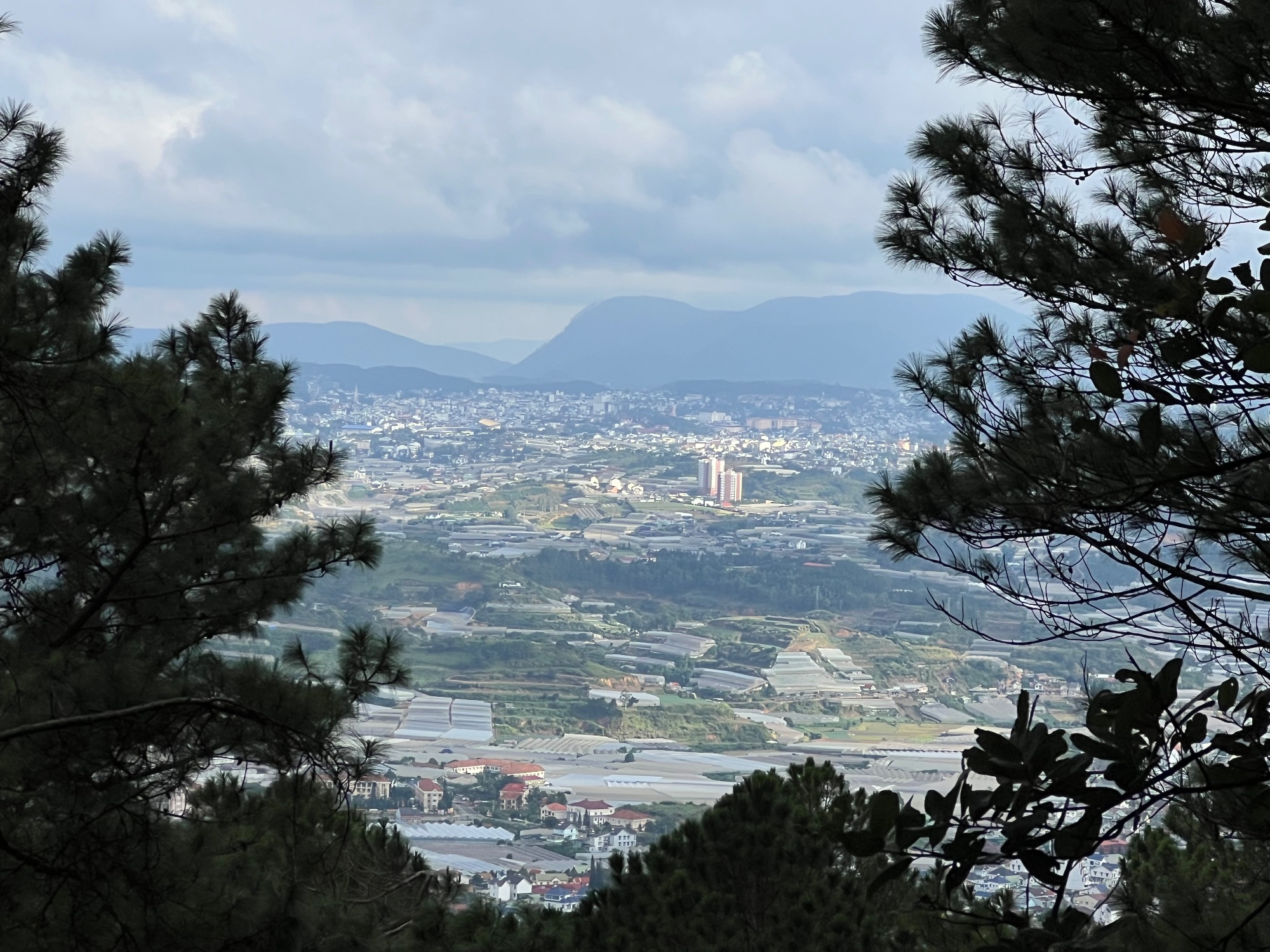 Dalat