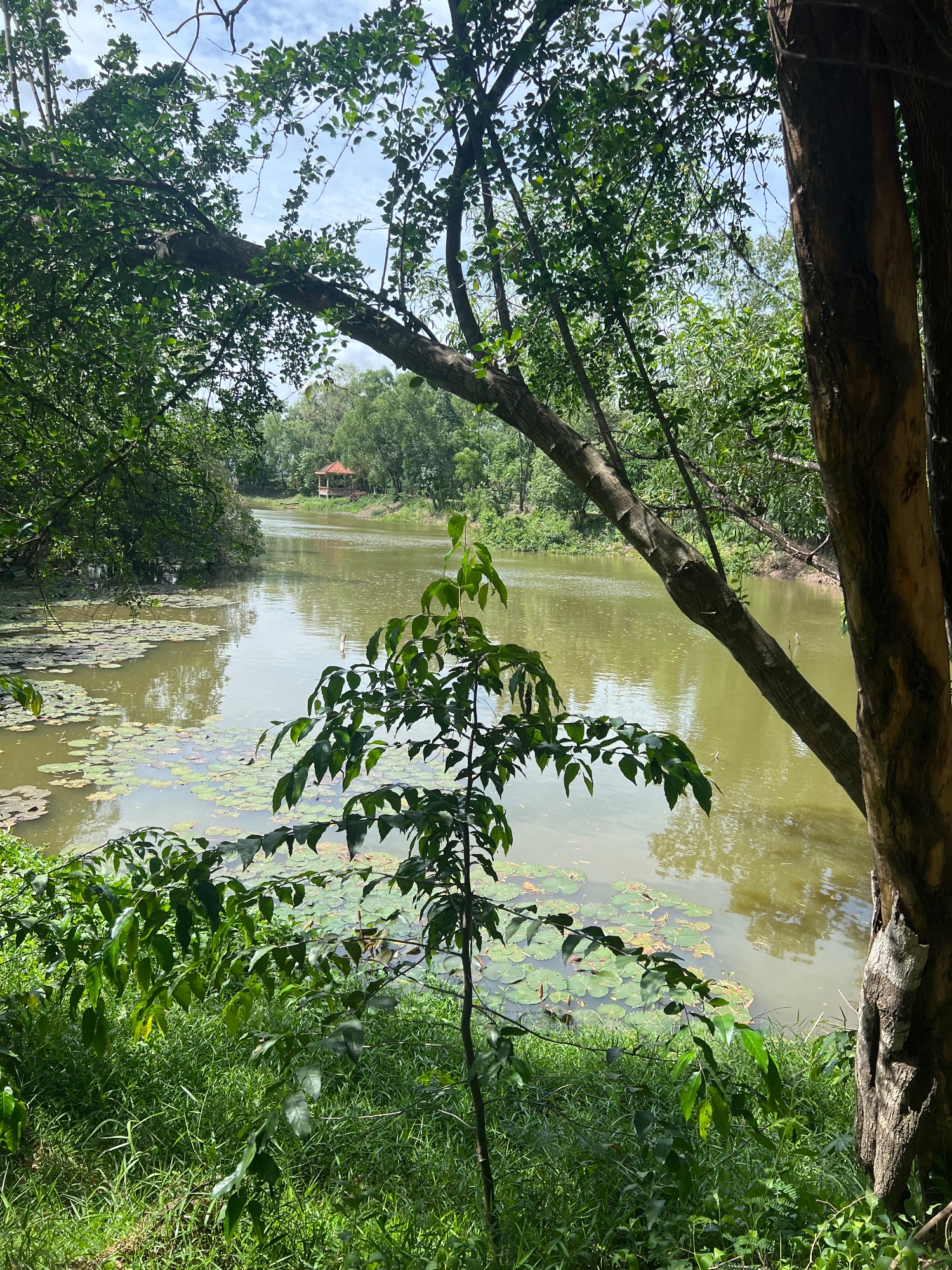Choeung Ek Killing Field