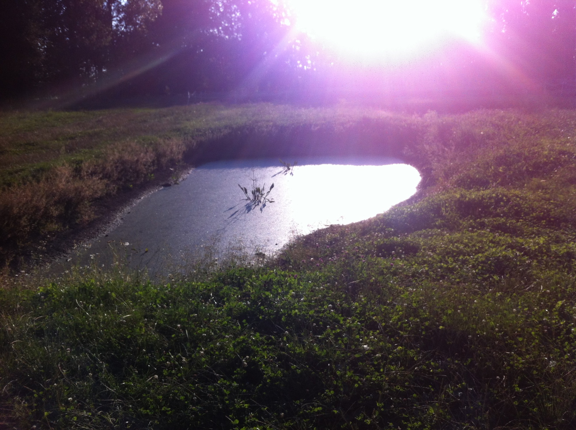 This pond was used to pour in the ashes of the of the cremated victims. It is the resting place of hundreds of thousands people. The excavated holes of the Killing Fields strongly reminded me of this.