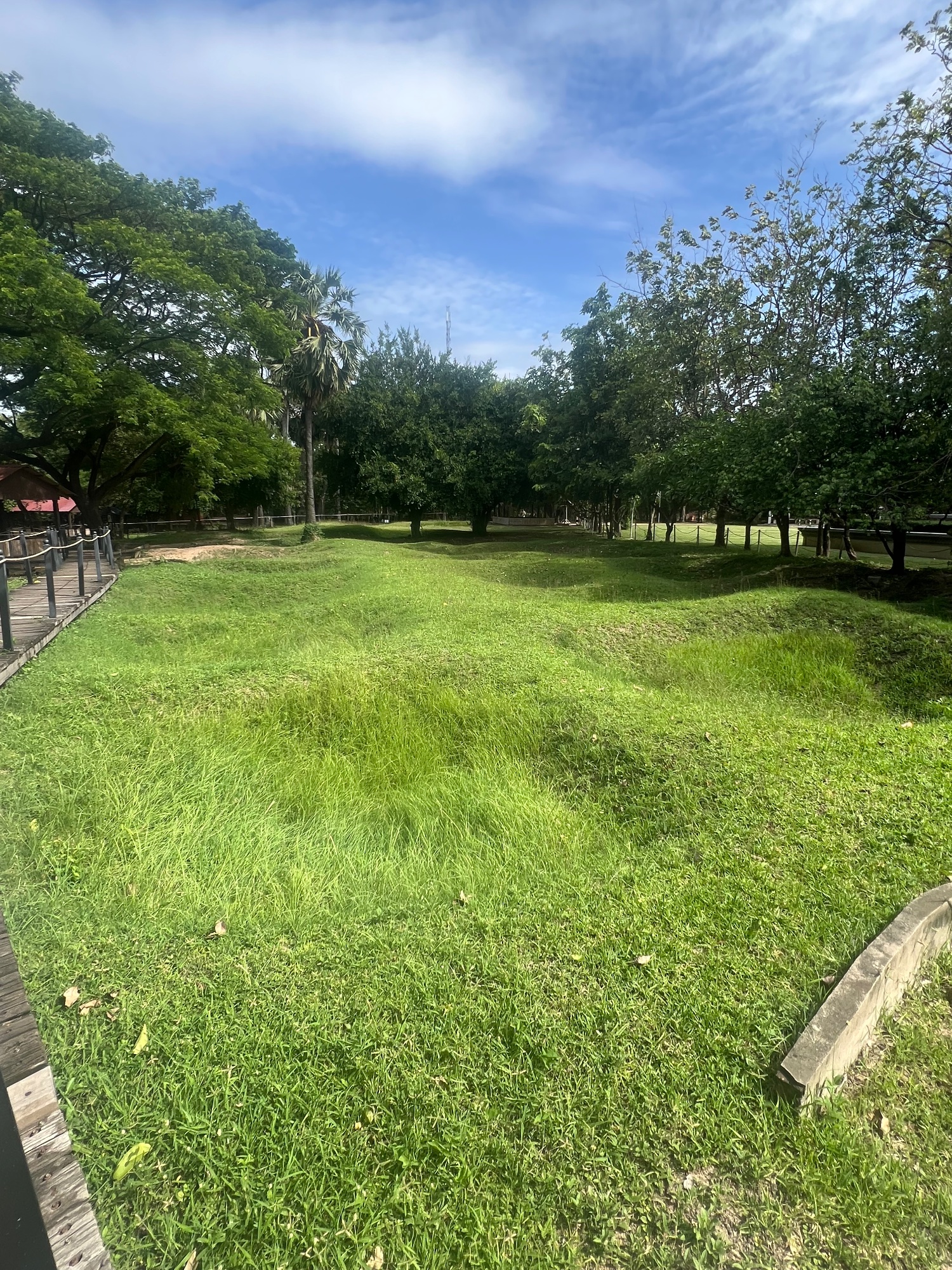 Killing Field