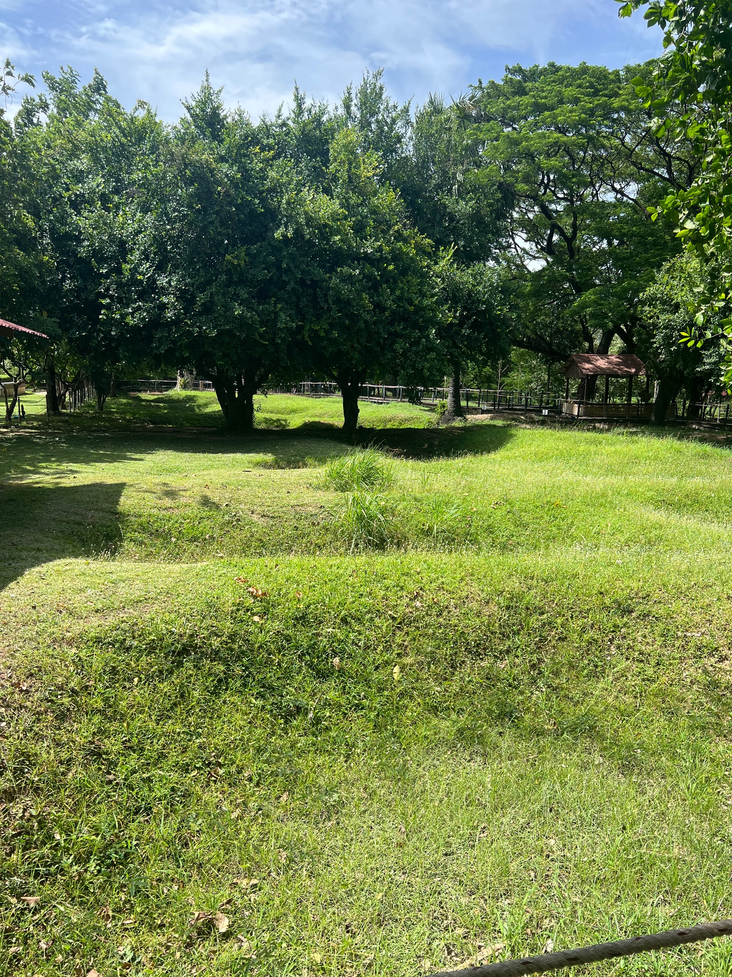 These are the actual Killing "Fields". Each hole is an excavated mass grave holding anything betwen a dozen and several hundres bodies.