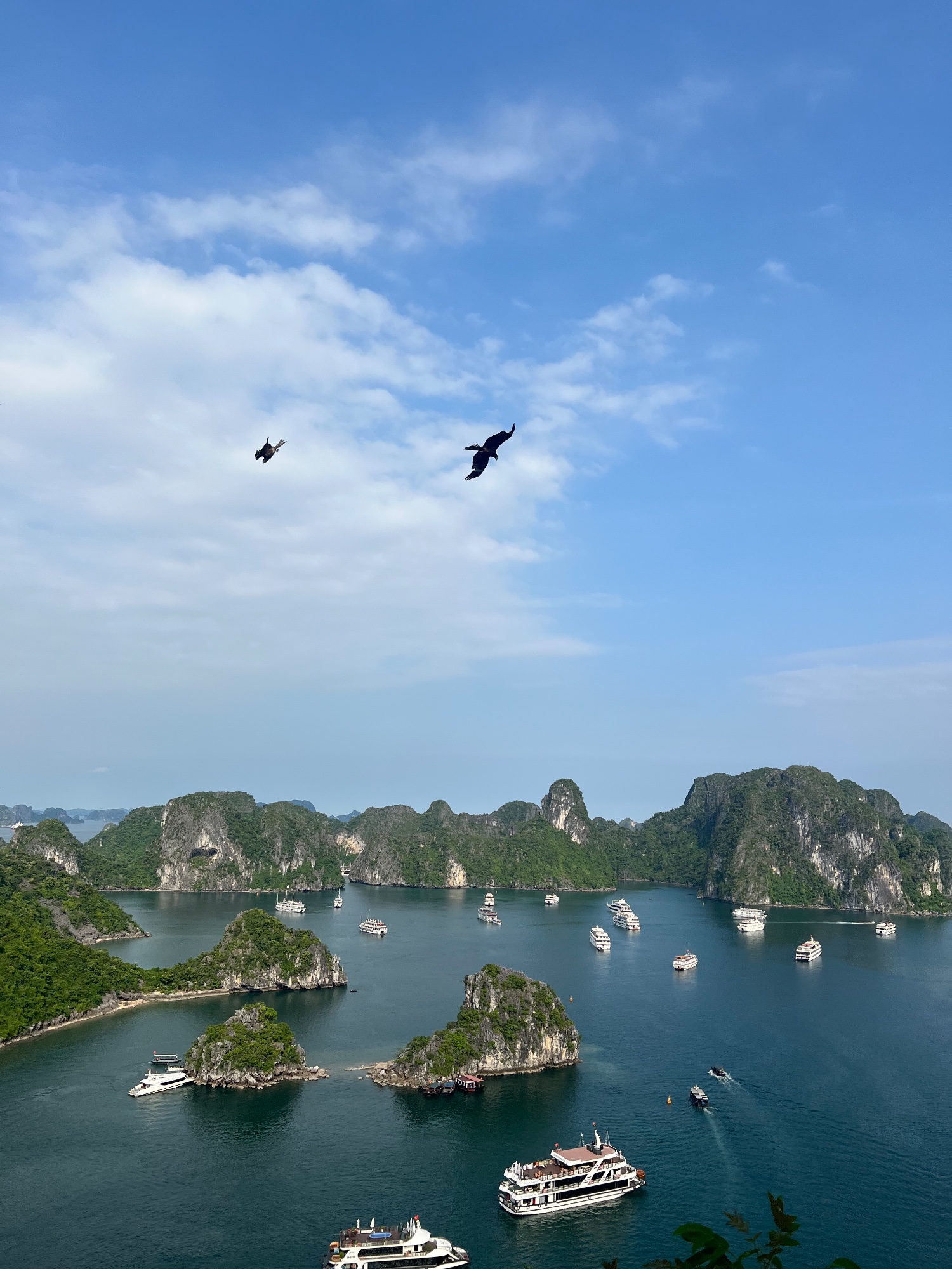 Ha Long