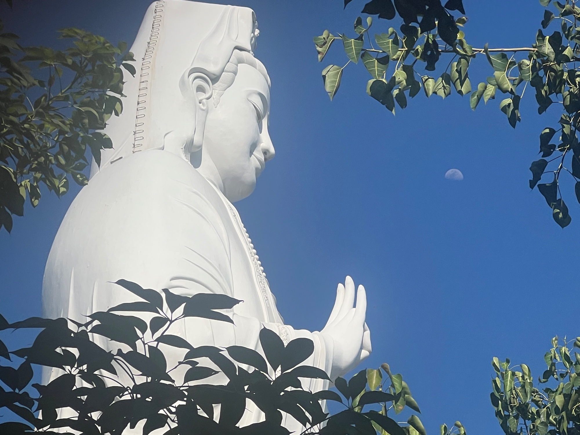 Lady Buddha