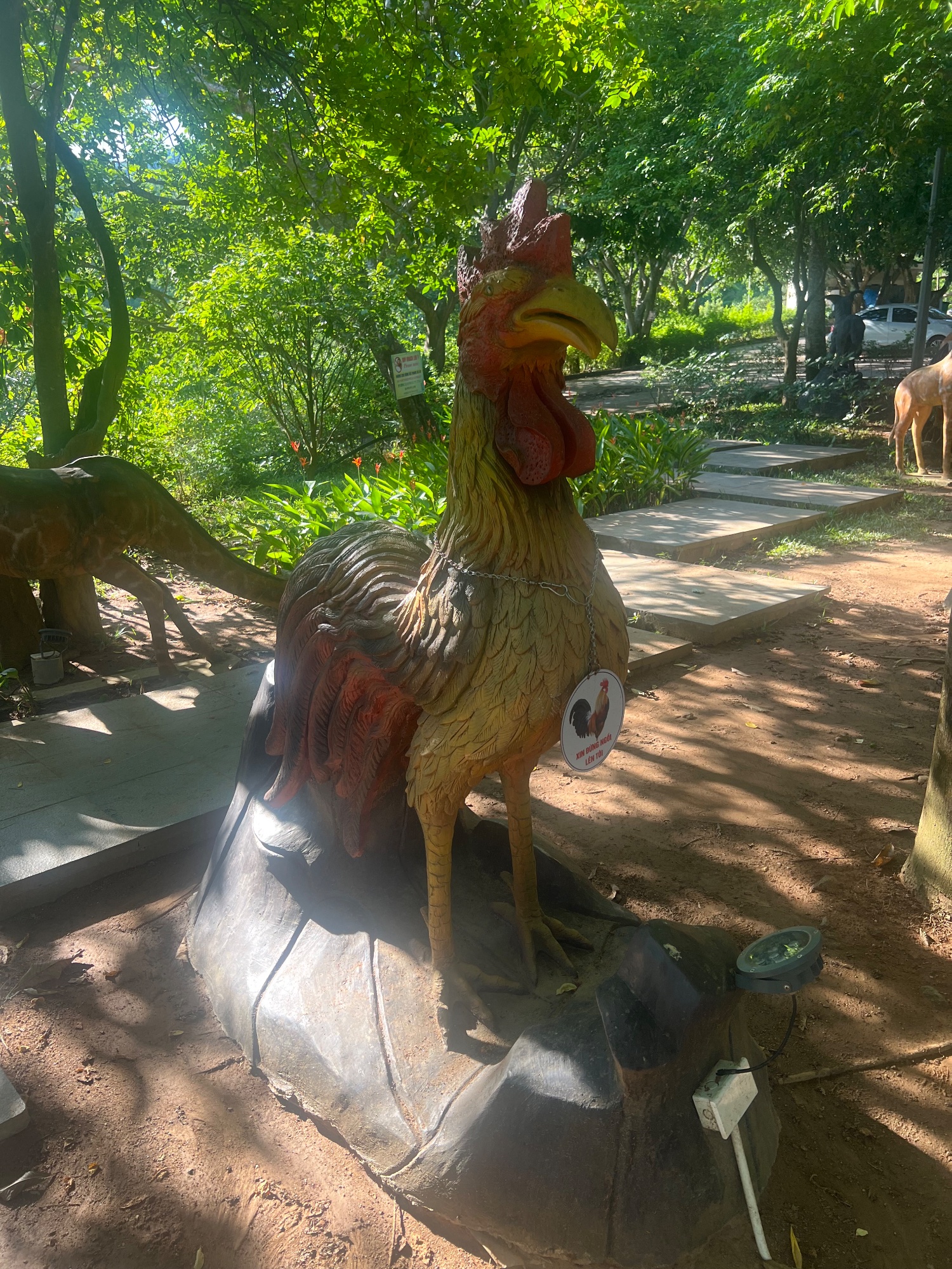 The biggest cock I have ever seen!