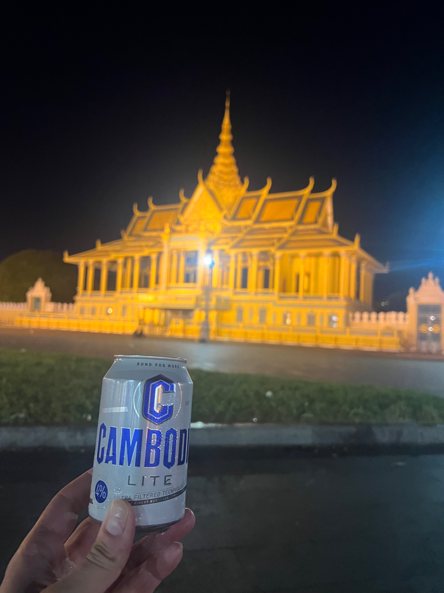 The palace. or at least its outward facing pagoda.
