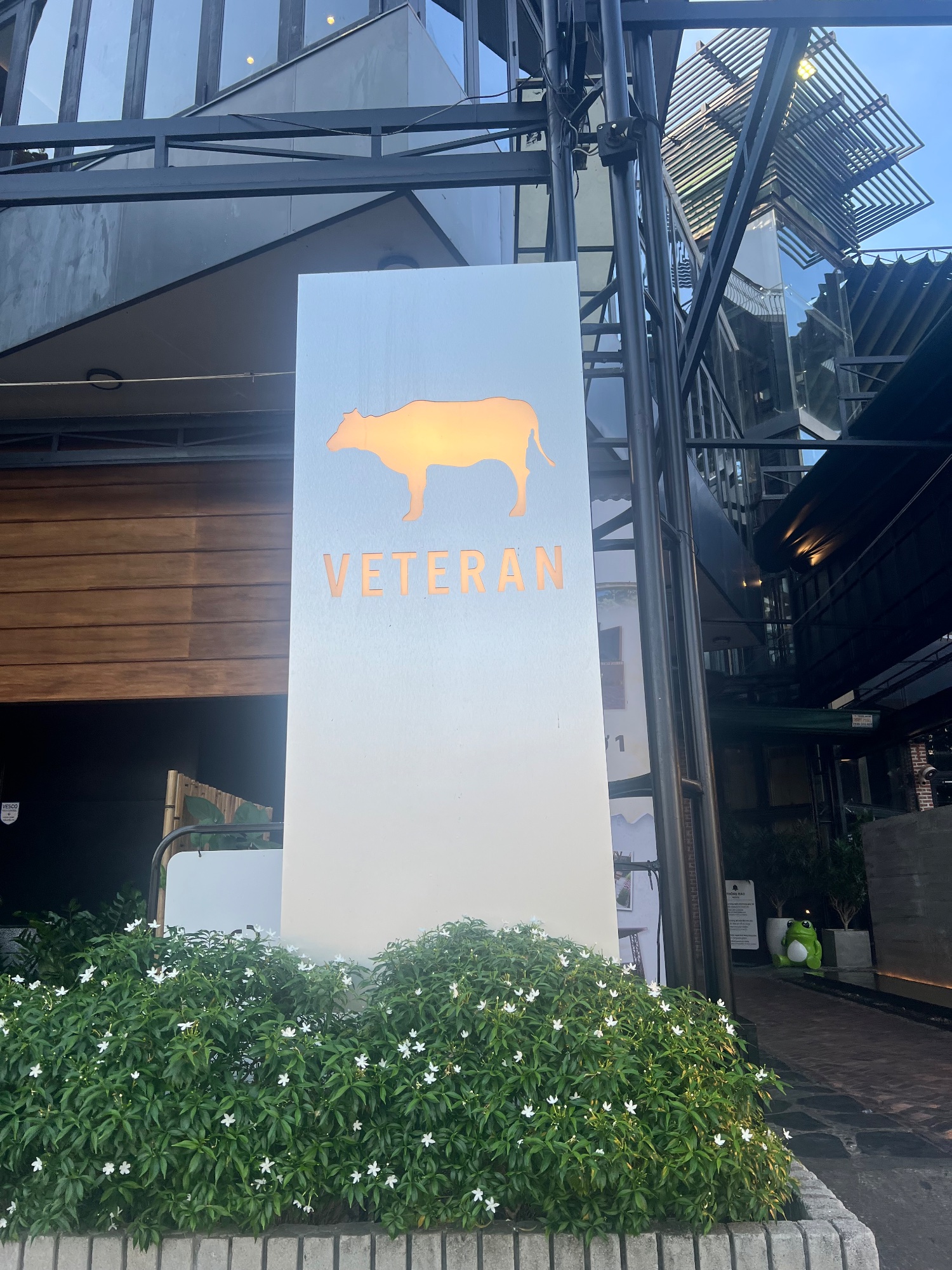 A veteran vegetarian veterinarian