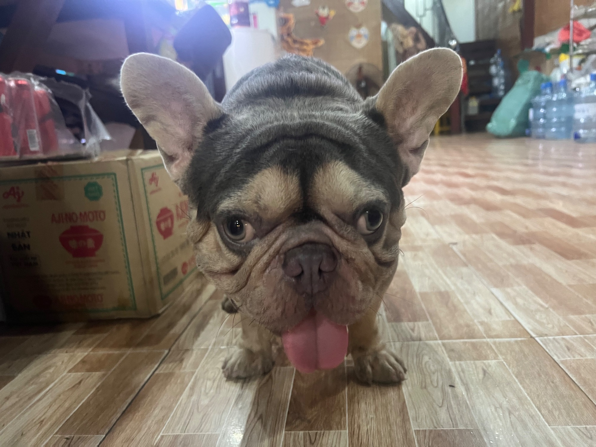 Đà Nẵng