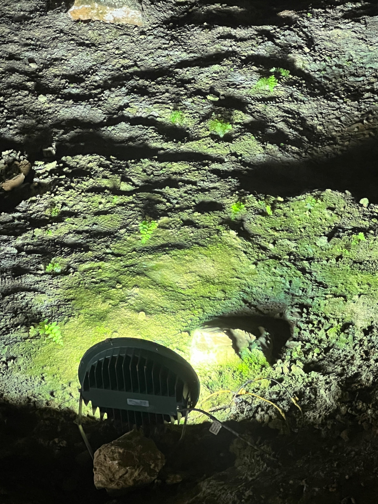 Even in the most remote cave, if you provide a little light.