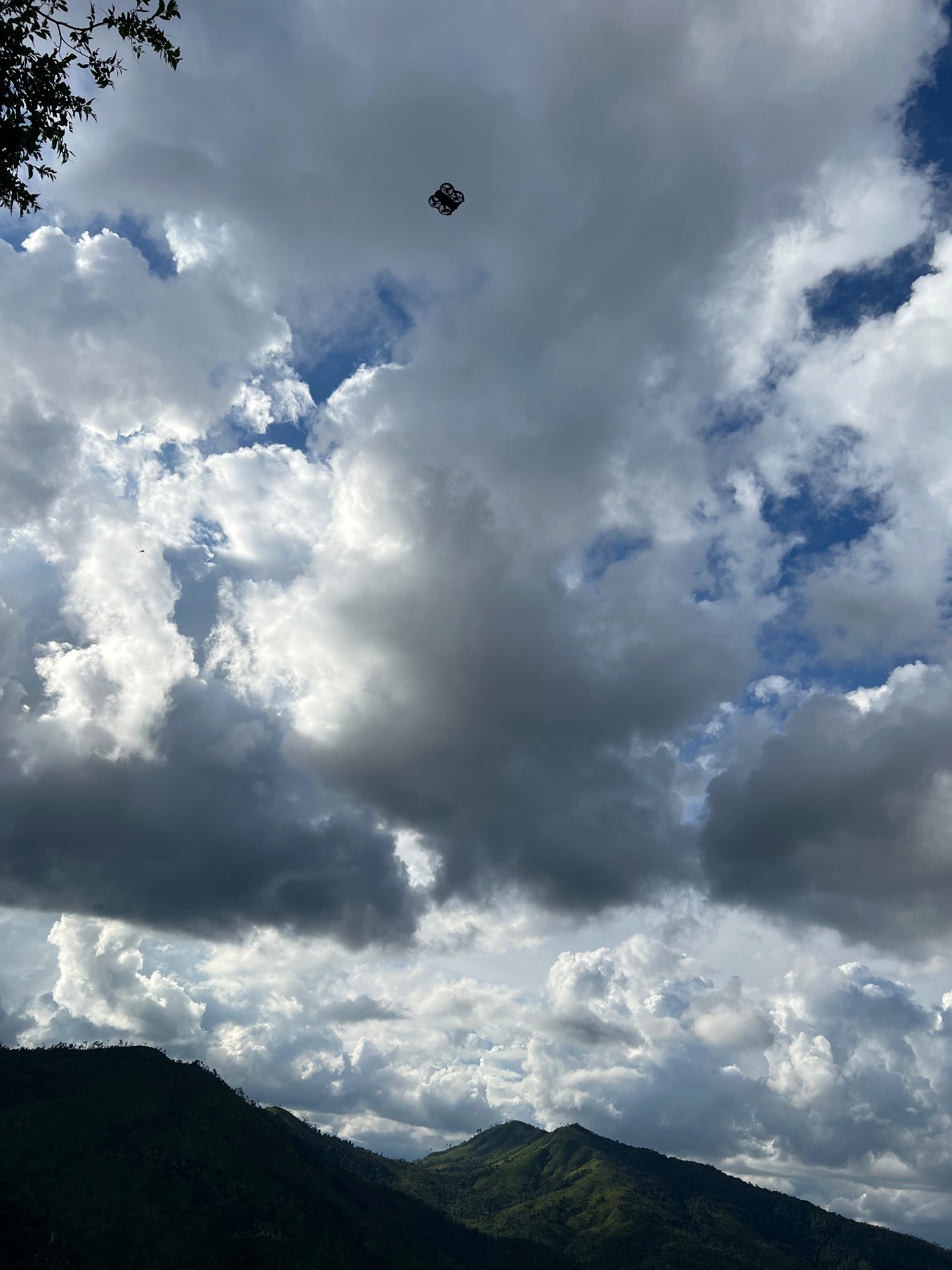 I found a free roaming drone
