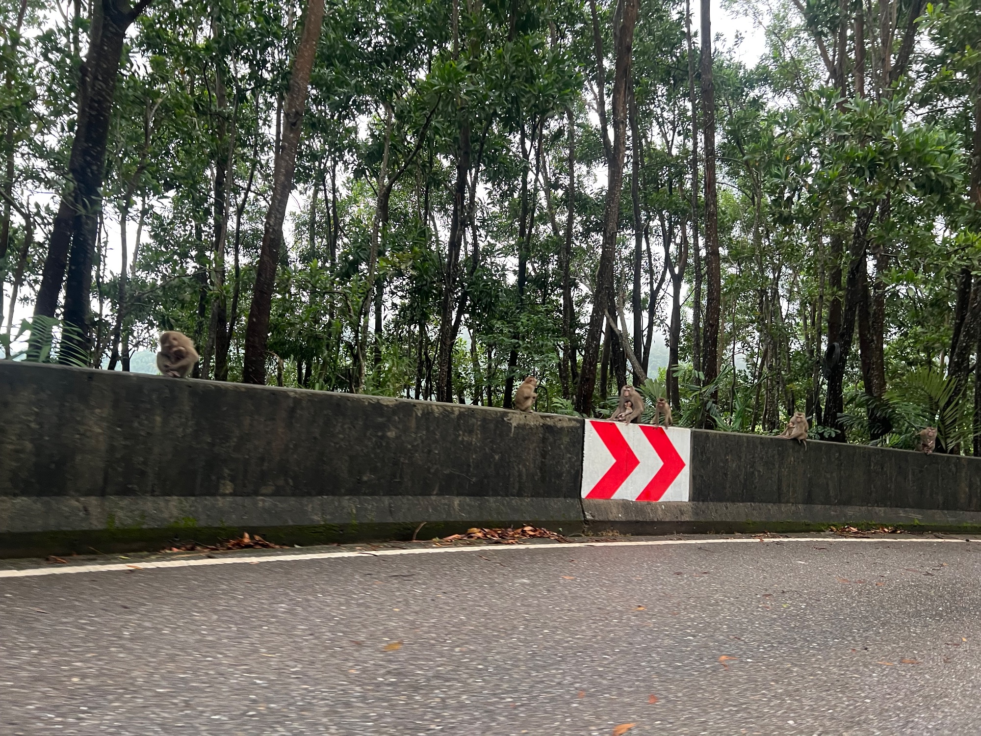 Mount Bokor