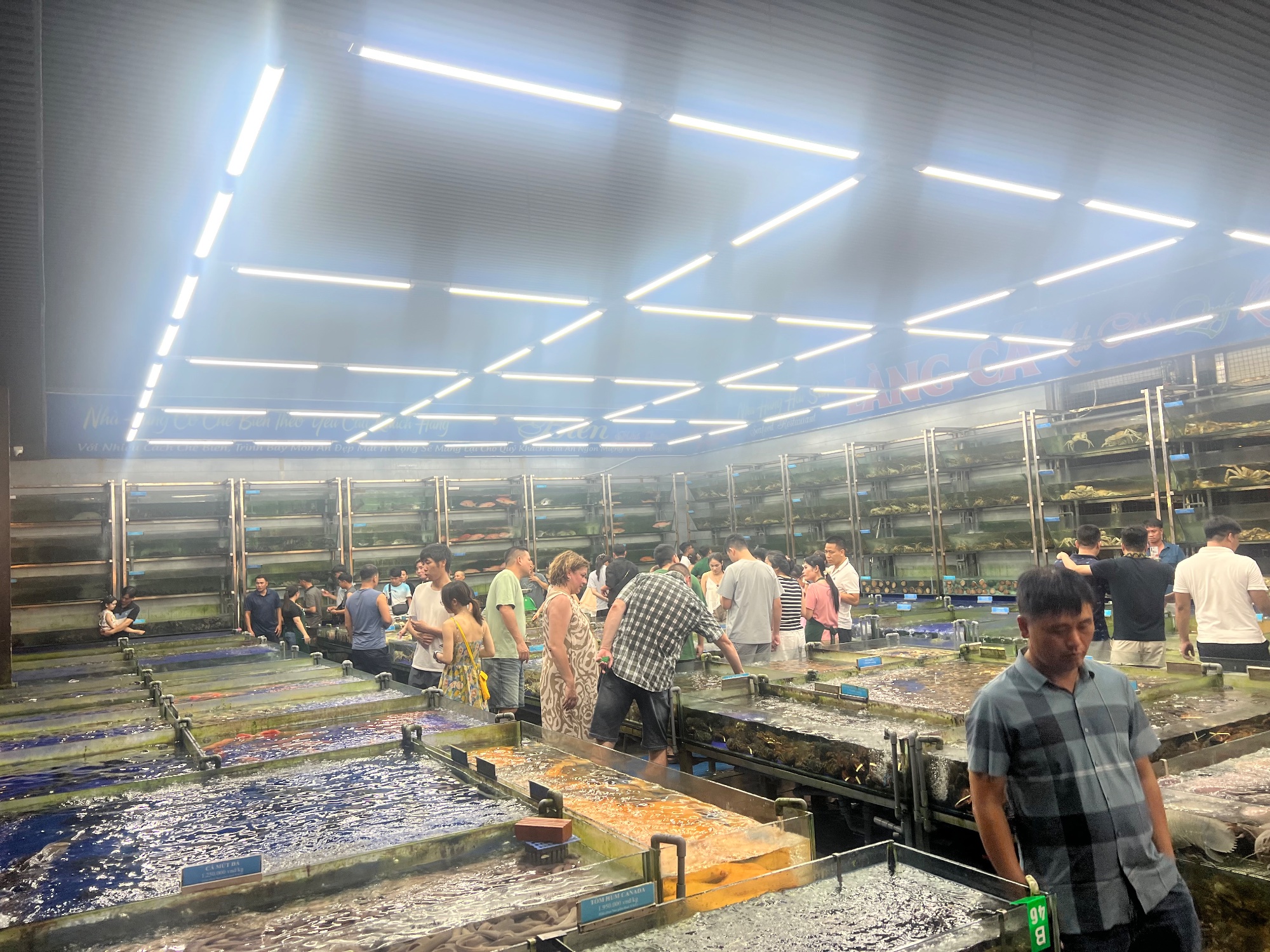 The biggest live fish market I have ever seen.