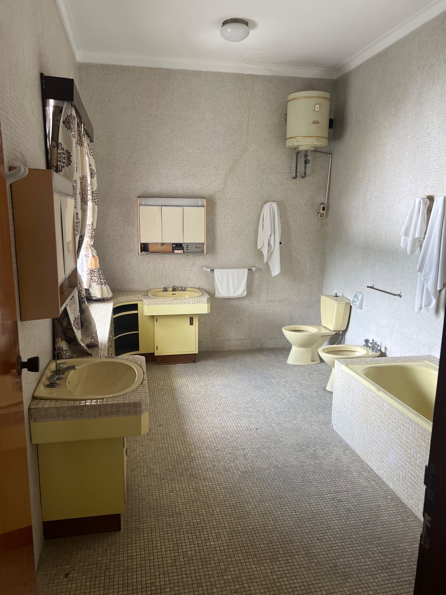 The Presidential bathroom with the the Presidential toilet and the Presidential bidet. (Note the Presidential boiler!)