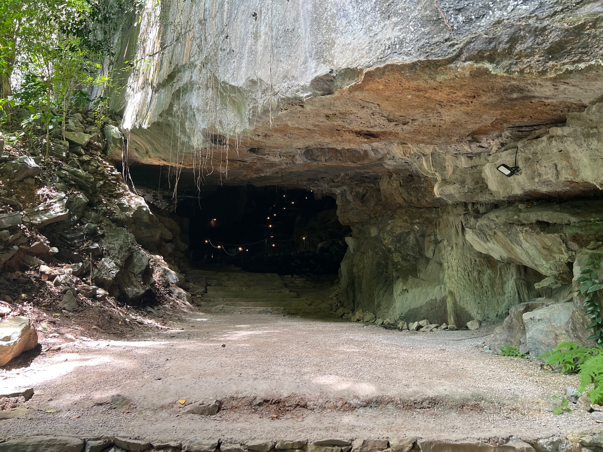 Commander Cave